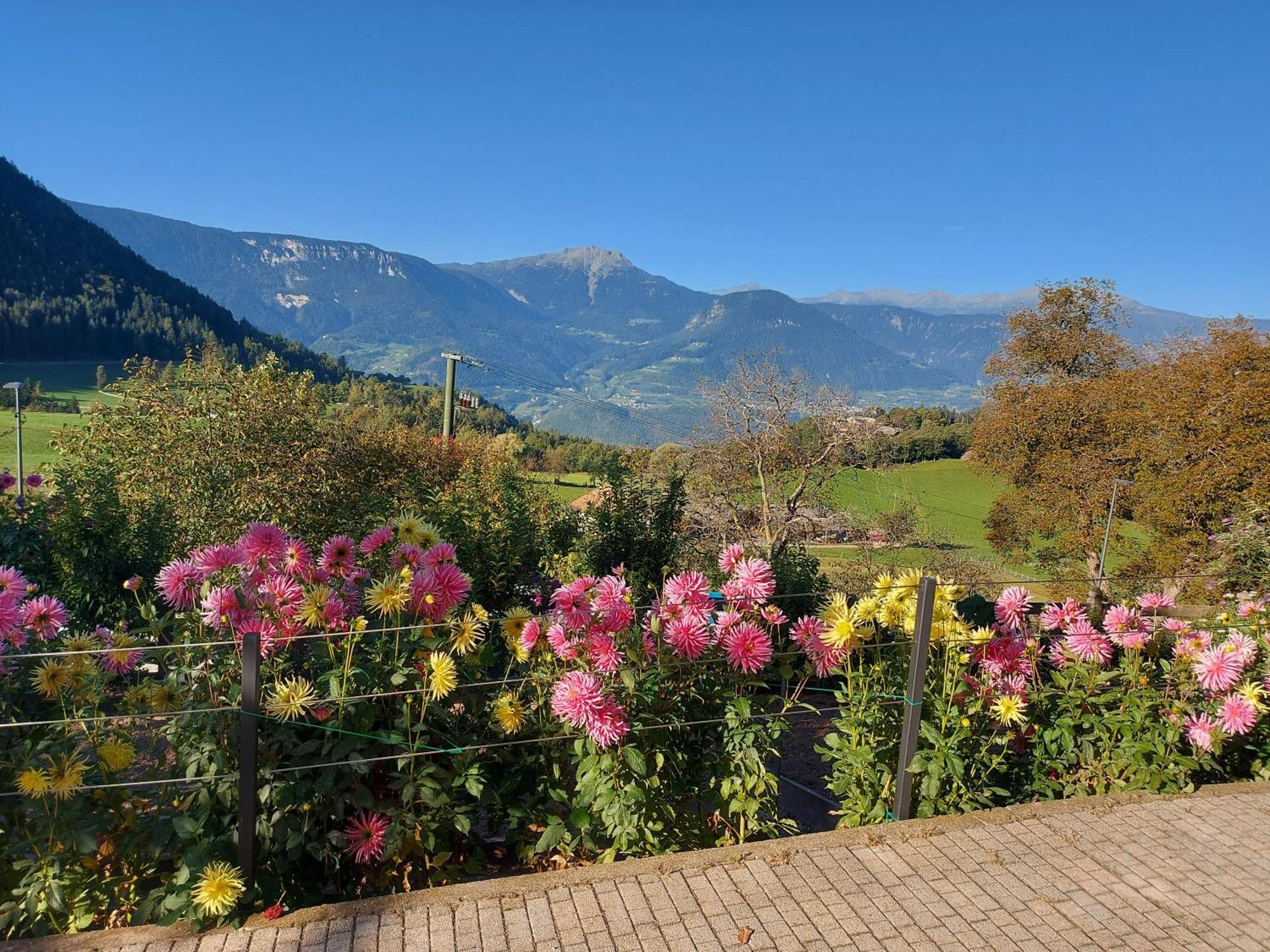 Apartament Alpenrose Meltina Zewnętrze zdjęcie